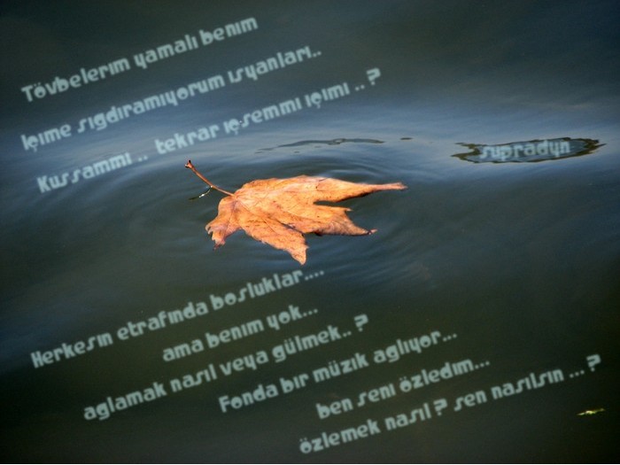ozlemek.jpg