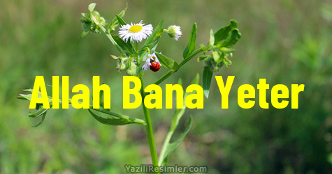 Allah Bana Yeter