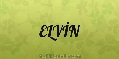 ELVİN