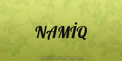 NAMİQ