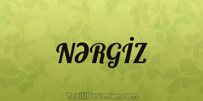 NƏRGİZ