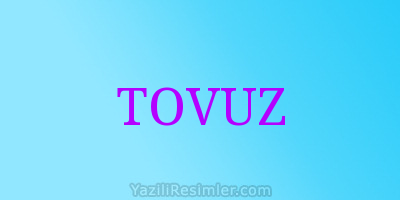 TOVUZ