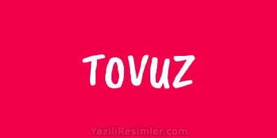 TOVUZ