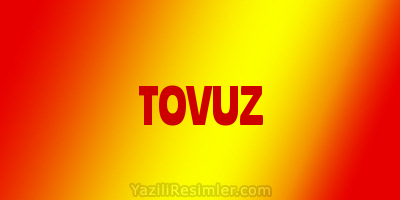 TOVUZ