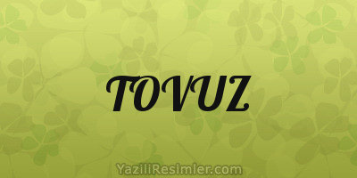 TOVUZ