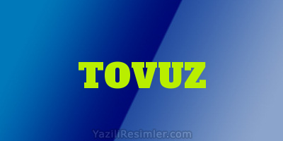 TOVUZ