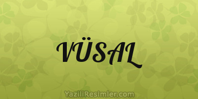 VÜSAL