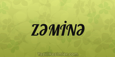 ZƏMİNƏ