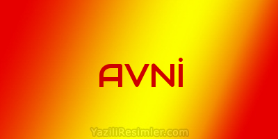 AVNİ