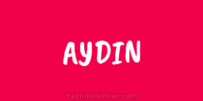 AYDIN