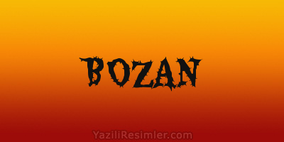 BOZAN