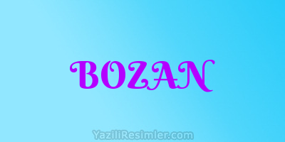 BOZAN