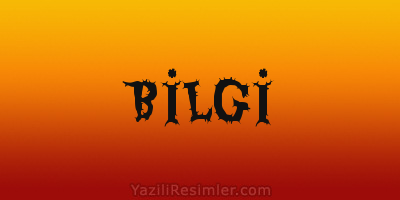 BİLGİ