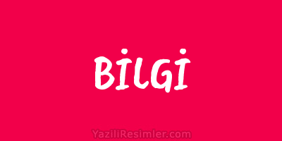 BİLGİ