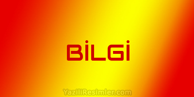 BİLGİ