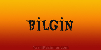 BİLGİN