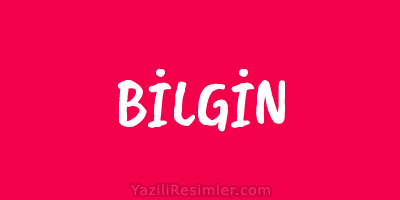 BİLGİN