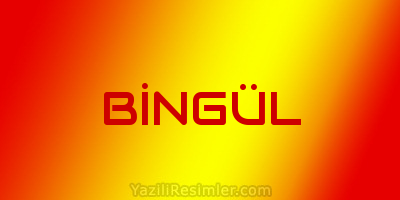 BİNGÜL