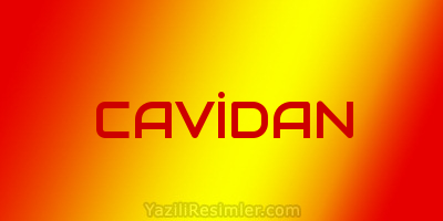 CAVİDAN