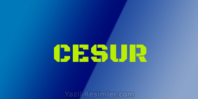 CESUR