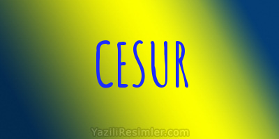 CESUR