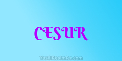 CESUR