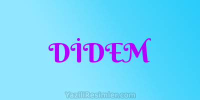 DİDEM