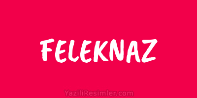 FELEKNAZ