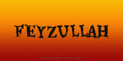 FEYZULLAH