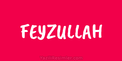 FEYZULLAH