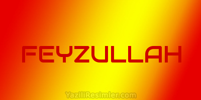 FEYZULLAH