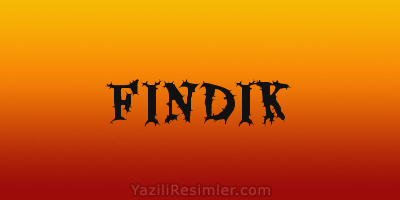 FINDIK