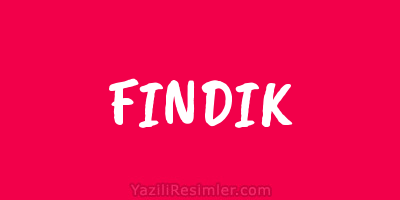 FINDIK