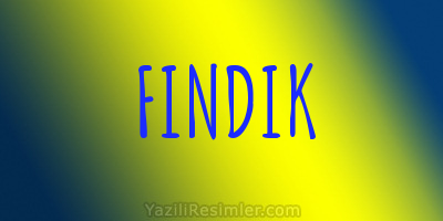 FINDIK