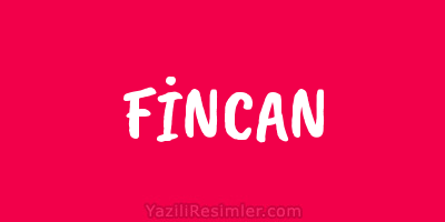 FİNCAN