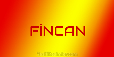 FİNCAN