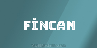 FİNCAN