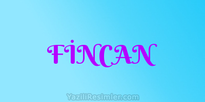 FİNCAN