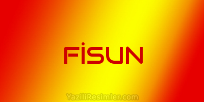 FİSUN