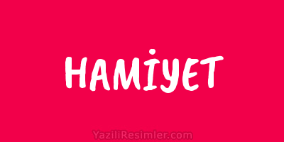 HAMİYET