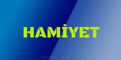 HAMİYET