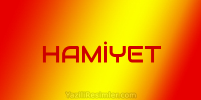 HAMİYET