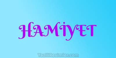 HAMİYET