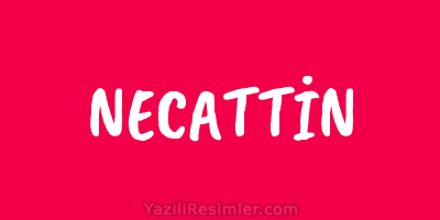 NECATTİN