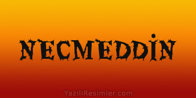 NECMEDDİN