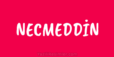 NECMEDDİN