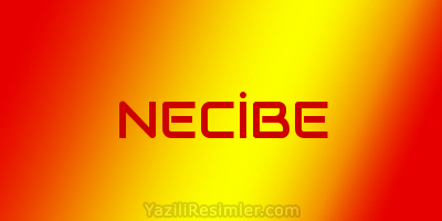 NECİBE