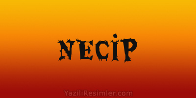 NECİP