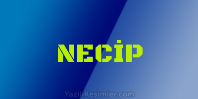 NECİP