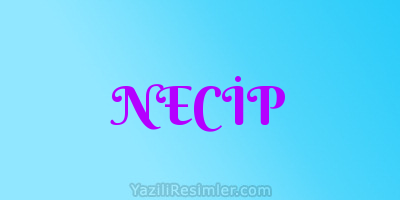 NECİP